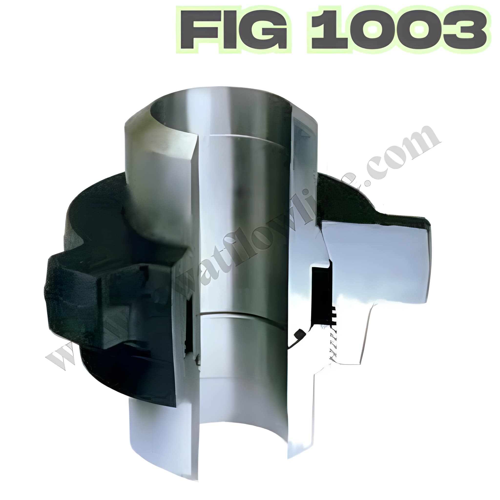 FIG 1003