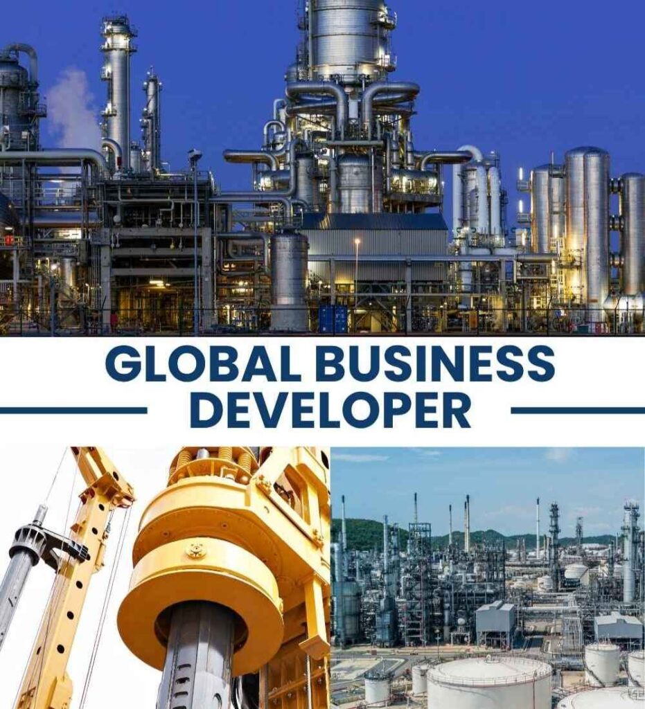 global business developer