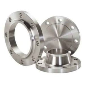 api asme flanges forging
